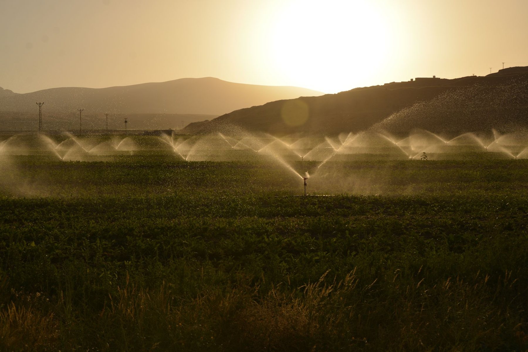 Irrigation & Drip Systems in El Mirage AZ