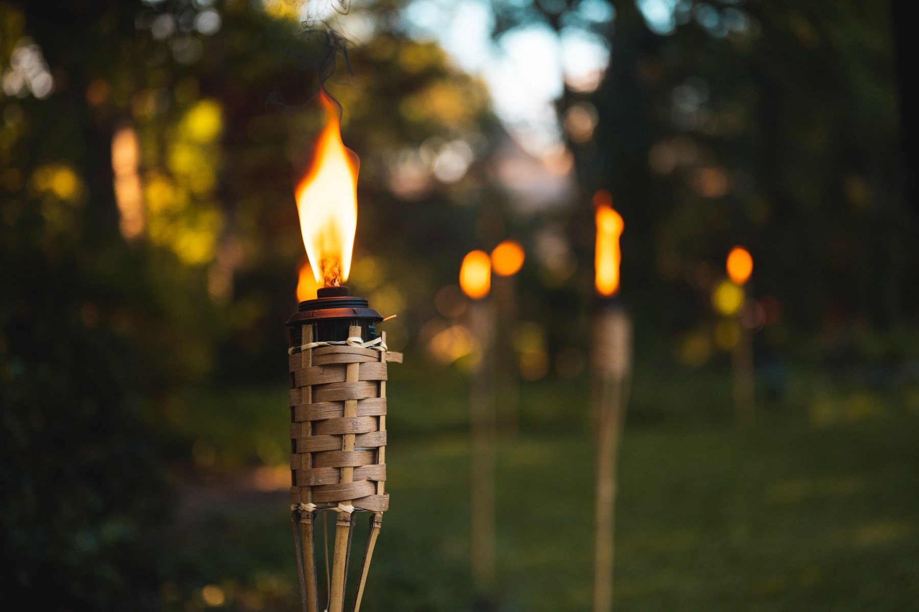 Landscape lighting at dusk in El Mirage, AZ