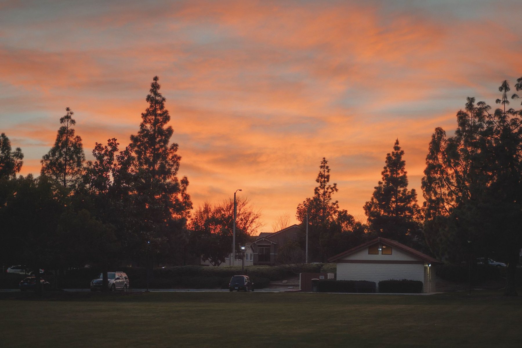 Backyard putting green in El Mirage, AZ